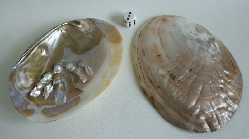 Muschel mit Perlen