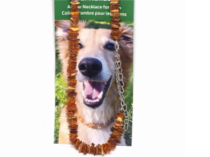 Hunde-Halsbnder aus Bernstein